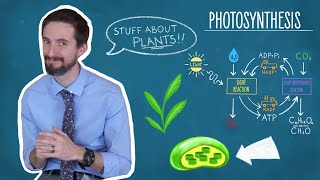 Photosynthesis Made Simple [upl. by Thgirw]