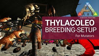 Thylacoleo BREEDINGSETUP for Mutator Usage  ARK Survival Evolved [upl. by Honniball539]