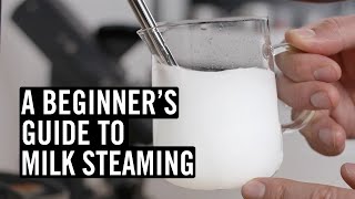 Everything You Need To Know To Steam Great Milk [upl. by Fink]