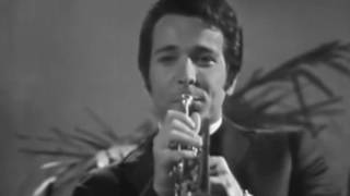 HERB ALPERT LONELY BULL STEREO [upl. by Andrew]