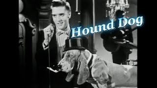 Elvis Presley  Hound Dog The Steve Allen Show  July 1 1956 4K [upl. by Eltotsira]