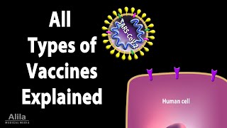 All Types of Vaccines How They Work Animation [upl. by Esinaj]