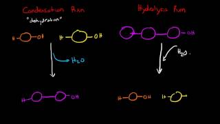 CarbohydratesDehydration Synthesis amp Hydrolysis  FFSS [upl. by Retniw571]