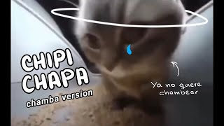 CHIPI CHAPA VERSIÓN CHAMBA [upl. by Ahsieyk875]