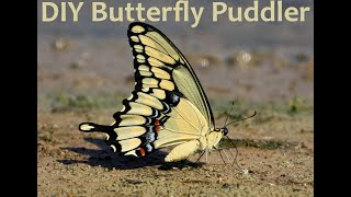 DIY Butterfly Puddler [upl. by Ahsitak]