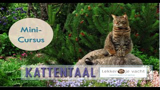 Kattentaal  MiniCursus [upl. by Cathy]