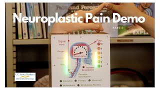 Neuroplastic Pain Demo [upl. by Gwennie895]