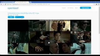 How to download a video from Openload [upl. by Gaylor]