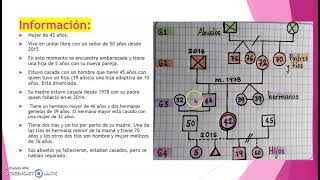 ELABORACIÓN DE UN GENOGRAMA [upl. by Euqinay]