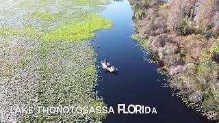 Aerial view Lake Thonotosassa Florida [upl. by Warms]