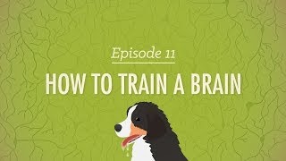 How to Train a Brain Crash Course Psychology 11 [upl. by Royd]