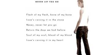 Dima Bilan  Never Let You Go Lyrics [upl. by Mitchel701]