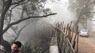 Kodaikanal Diaries  Berijam Lake [upl. by Tanaka]