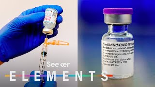 What’s In the Pfizer amp Moderna COVID Vaccines [upl. by Tiffi]