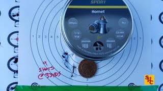 Pest Control with Air Rifles  Squirrel Shooting  Hornet 22 [upl. by Opiak]