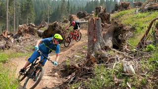 Carezza Trail  the Flowtrail in the Dolomites [upl. by Encrata]