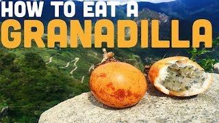 HOW TO EAT GRANADILLA [upl. by Udella]