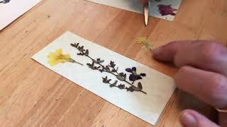 Pressed Flower Bookmark [upl. by Allista623]