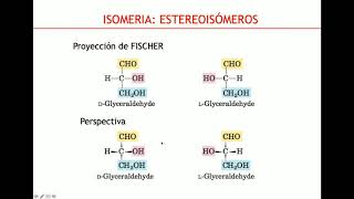 Glúcidos y Lípidos  Biología Celular y Tisular [upl. by Xer]