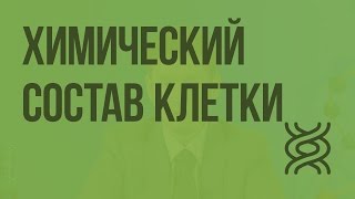 Химический состав клетки Видеоурок по биологии 9 класс [upl. by Ahscrop]