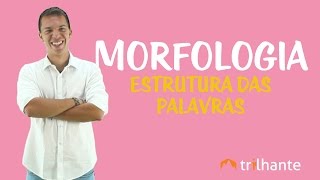 Morfologia Estrutura das Palavras [upl. by Adrea]