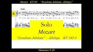 Mozart  KV165 3 Exsultate Jubilate  Alleluja  Solo [upl. by Xavler639]