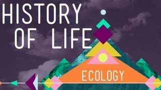 The History of Life on Earth  Crash Course Ecology 1 [upl. by Corrine]