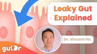 What is Leaky Gut  GutDr MiniExplainer [upl. by Ephram378]