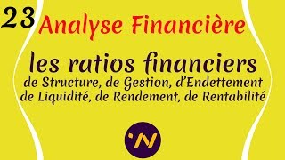 23 Analyse financière les ratios financiers [upl. by Aicilev]