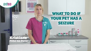 What To Do If Your Pet Has A Seizure PDSA Petwise Pet Health Hub [upl. by Eresed483]