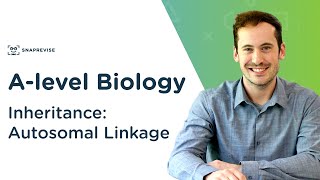 Inheritance Autosomal Linkage  Alevel Biology  OCR AQA Edexcel [upl. by Wendt884]