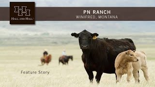 PN Ranch  Winifred Montana [upl. by Goldina]