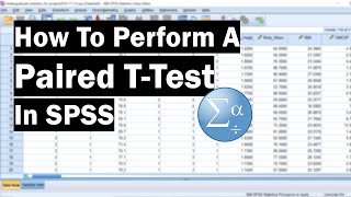 How To Perform A Paired TTest In SPSS [upl. by Iam]