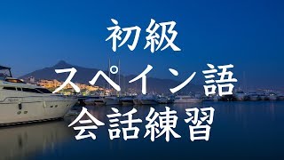 初級スペイン語会話トレーニング200  基本フレーズ聞き流し [upl. by Nirej]