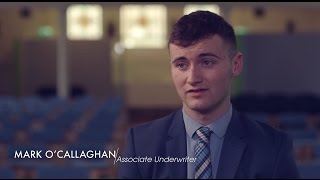 What does an Underwriter do [upl. by Blainey]