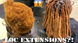 Loc Extension Tutorial Crochet Method [upl. by Kassel]