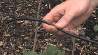 Drip Irrigation Basics [upl. by Litch966]