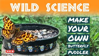 WILD SCIENCE Bonus Vid DIY Butterfly Puddler [upl. by Stine665]