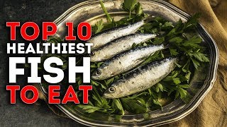 Top 10 Healthiest Fish To Eat [upl. by Shelia849]