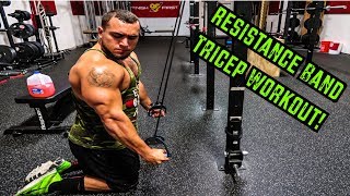 Intense 5 Minute Resistance Band Tricep Workout [upl. by Epilihp70]