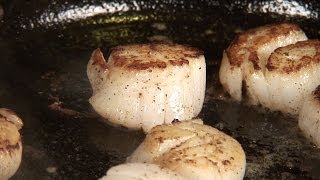 How to Cook Scallops [upl. by Eatnoled]