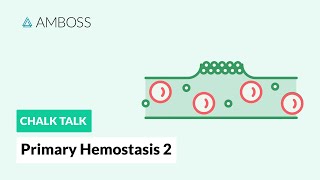 Primary Hemostasis  Part 2 Platelet Activation [upl. by Llenrub]