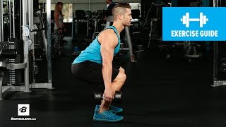 How to Dumbbell Squat  Mike Hildebrandt [upl. by Uriisa35]