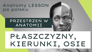 ANATOMY LESSON po polsku  1 Przestrzeń w anatomii  kierunki osie płaszczyzny [upl. by Dalton]