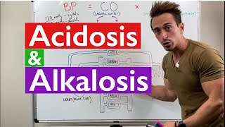 Acidosis and Alkalosis MADE EASY [upl. by Mariel616]