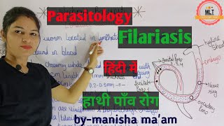 Filariasis हाथीपाँव  wuchereria bancrofti  Microfilaria  Mlt Lecture  Parasitology [upl. by Xila]