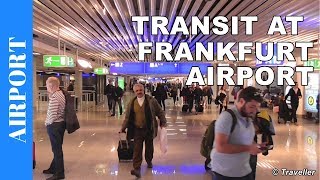 TRANSIT WALK AT FRANKFURT Airport FRA Terminal 1  Connection Flight Transfer Arriving amp Departing [upl. by Acireed]