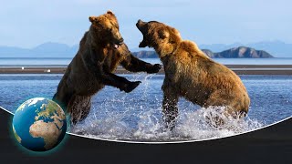 Fighting Grizzlies amp Hunting Wolf Packs in Americas first National Park  Yellowstone [upl. by Yona827]