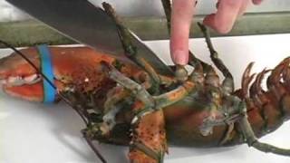 How to Kill and Cook a Lobster [upl. by Kingsly]