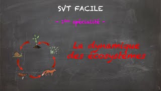 SVT FACILE  1ère spé  La dynamique des écosystèmes [upl. by Gavrilla]